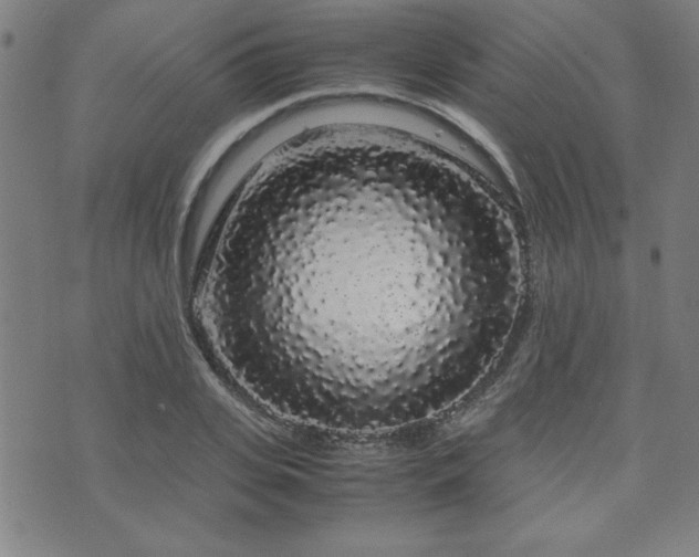 X0000071840935200606301309