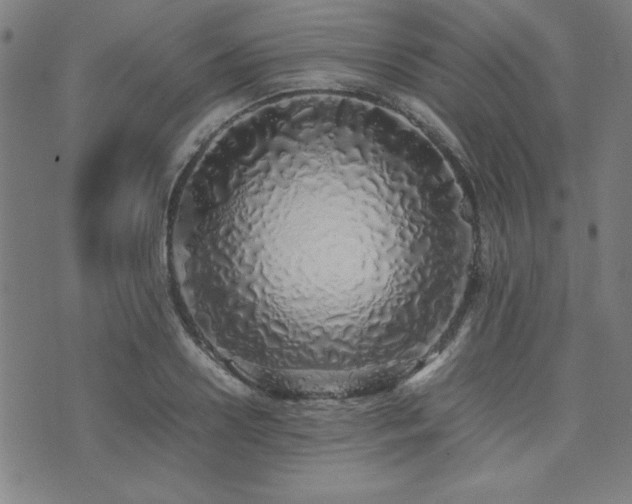 X0000071840938200606301309
