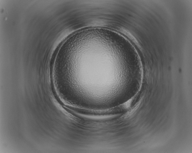 X0000071840939200606301309