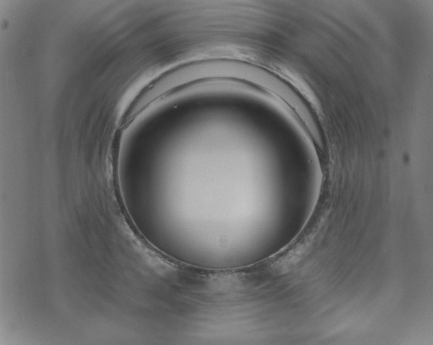 X0000071840944200606301309