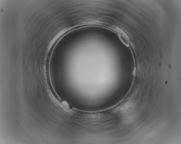 X0000071840947200606301309
