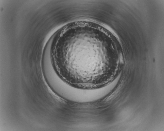 X0000071840951200606301309