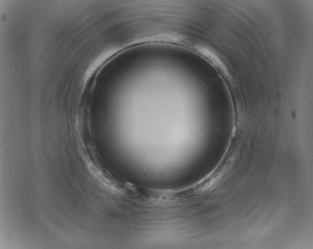 X0000071840952200606301309