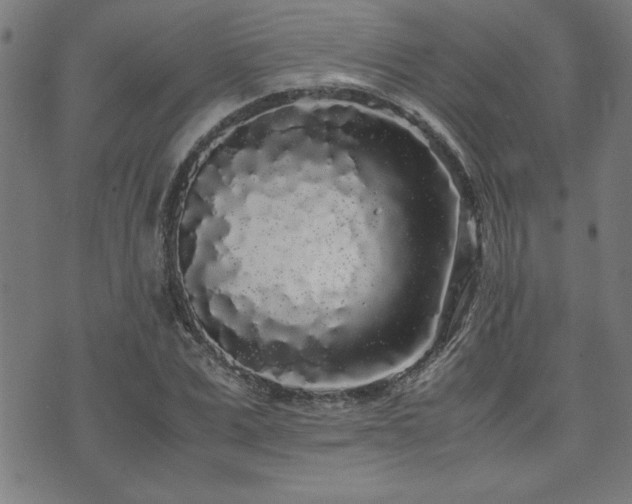 X0000071840975200606301308