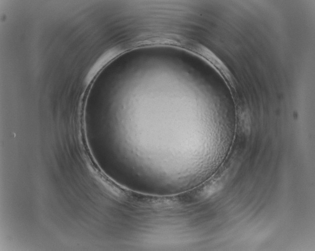 X0000071841002200606301308