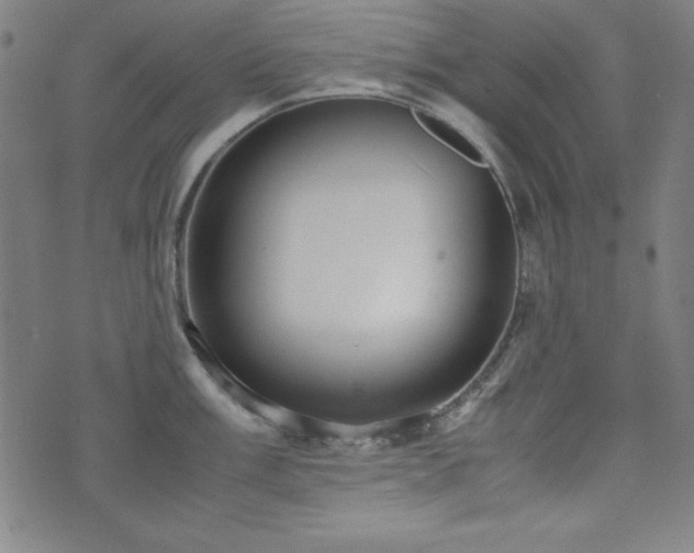 X0000071841003200606301308