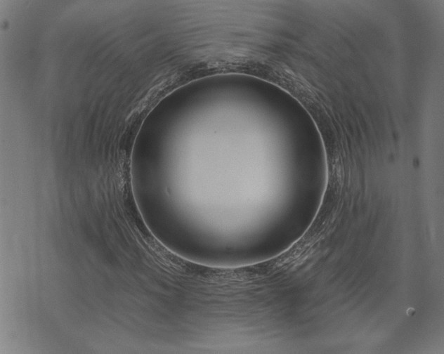 X0000071841012200606301307