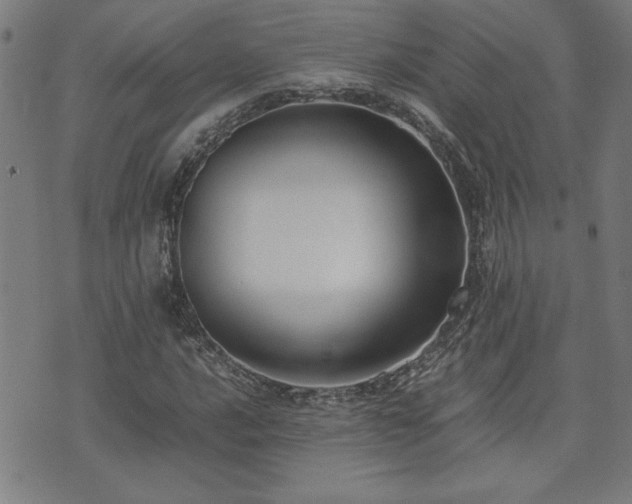 X0000071841016200606301307