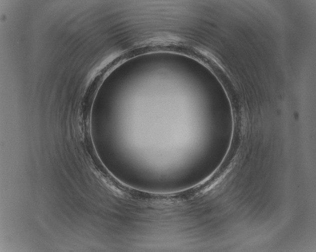 X0000071841018200606301307