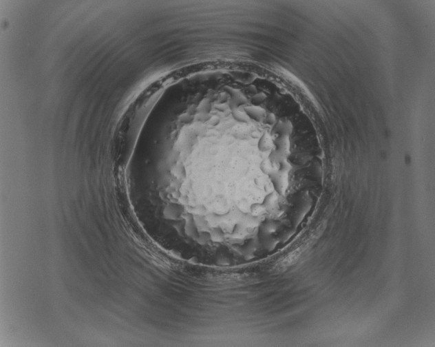 X0000071841019200606301307
