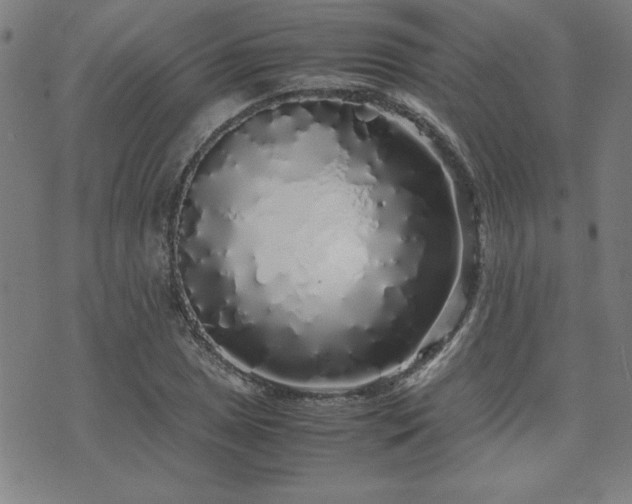 X0000071841025200606301307