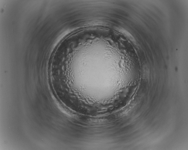 X0000071841039200606301307