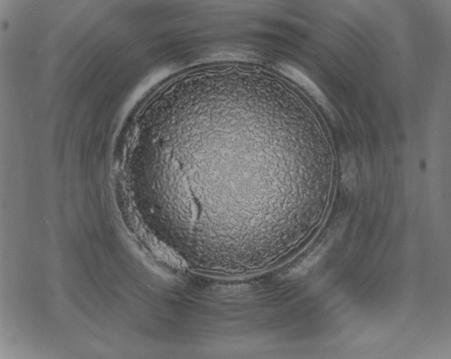 X0000071841043200606301307