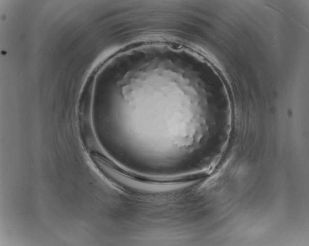 X0000071841045200606301307