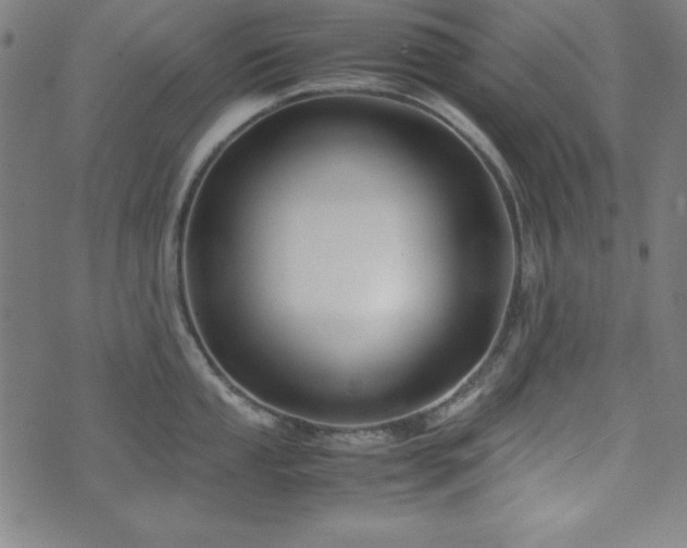 X0000071841053200606301307