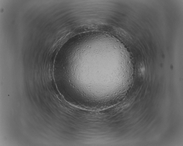 X0000071841060200606301307