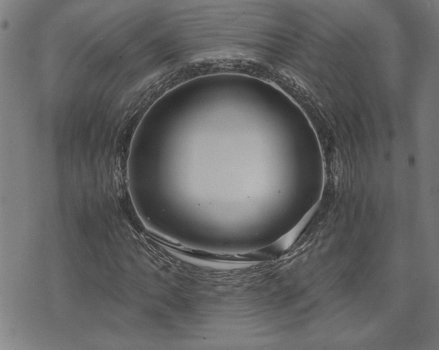 X0000071841062200606301307