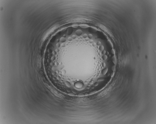 X0000071841067200606301307