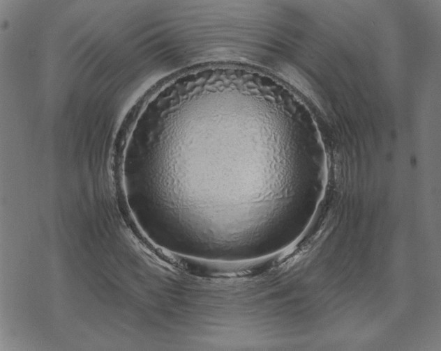 X0000071841068200606301307