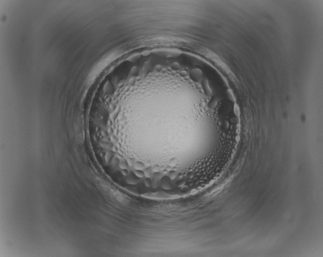 X0000071841075200606301306