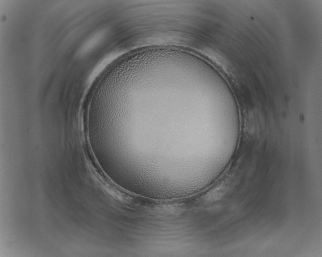 X0000071841078200606301306