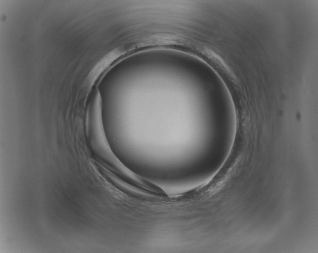 X0000071841081200606301306