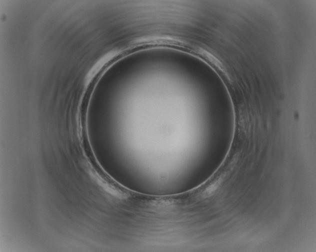 X0000071841082200606301306