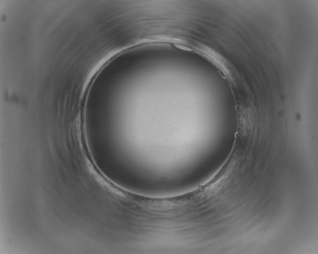 X0000071841100200606301306