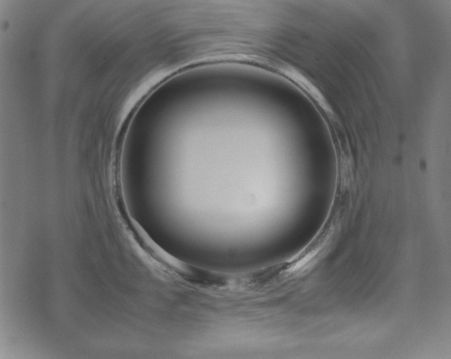 X0000071841101200606301306