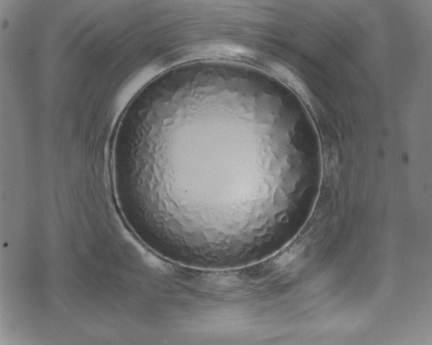 X0000071841103200606301306