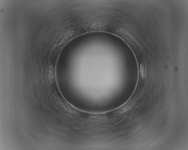 X0000071841107200606301305