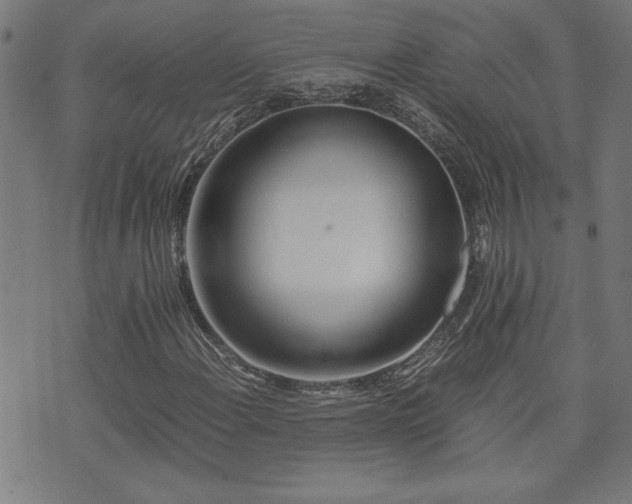 X0000071841108200606301305