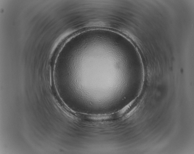 X0000071841123200606301305