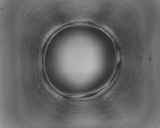 X0000071841124200606301305