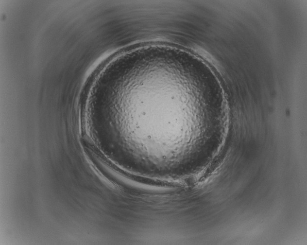 X0000071841127200606301306