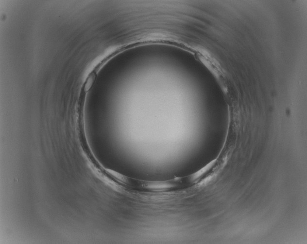 X0000071841134200606301306