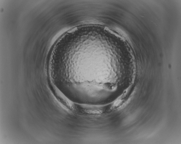 X0000071841141200606301306