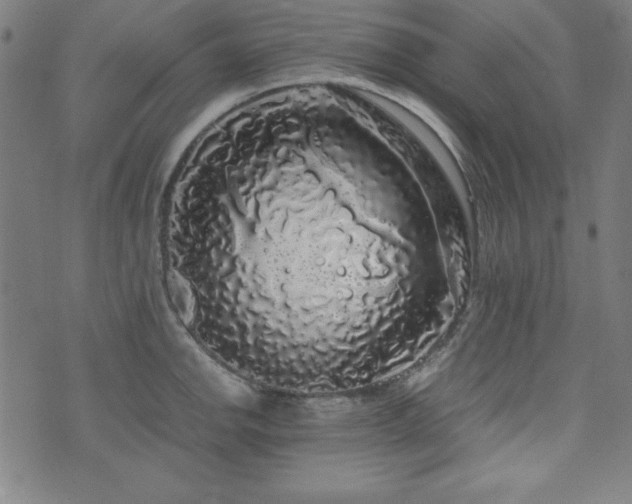 X0000071841142200606301306