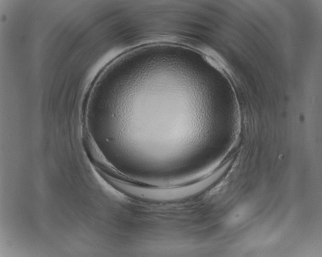 X0000071841143200606301306