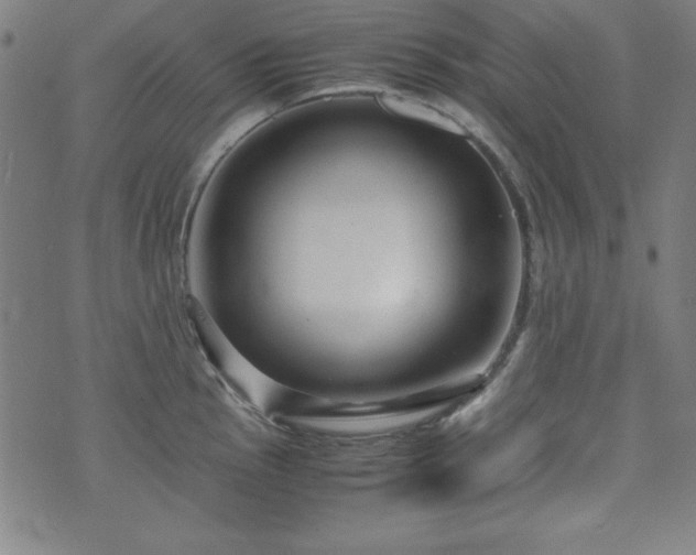 X0000071841145200606301306