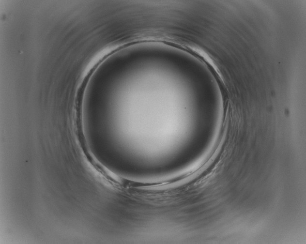 X0000071841147200606301306