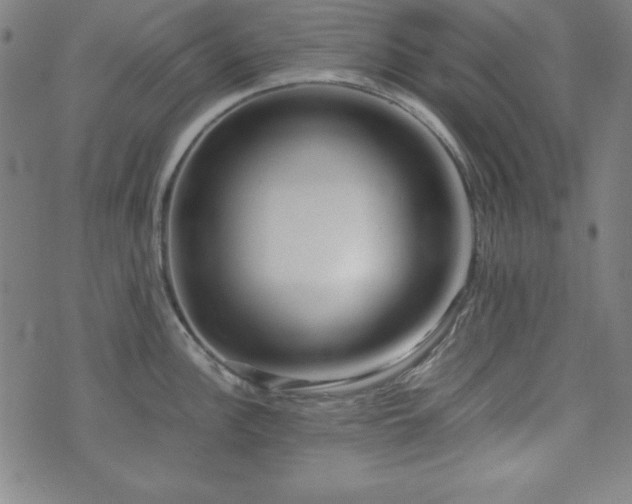 X0000071841148200606301306