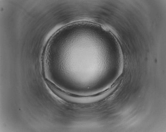 X0000071841151200606301306