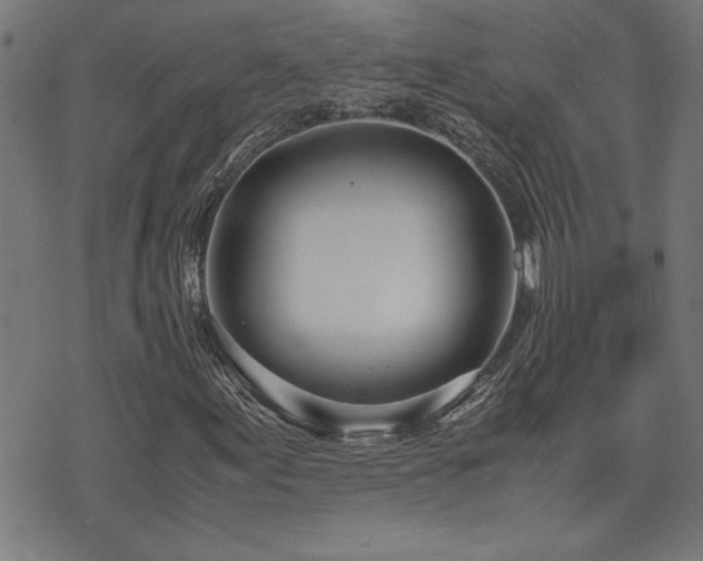 X0000071841155200606301305