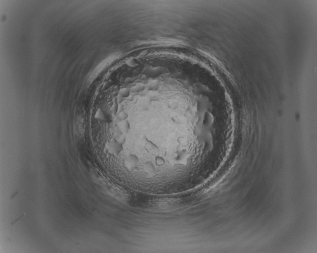 X0000071841163200606301305