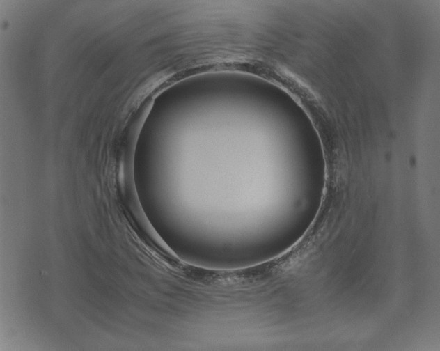 X0000071841169200606301305