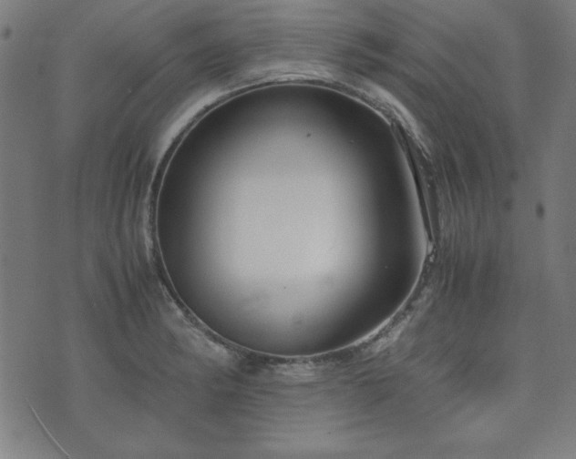 X0000071841182200606301305