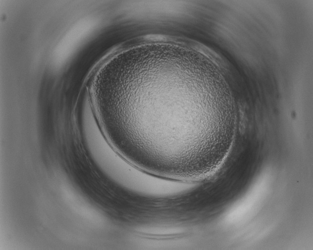X0000071841198200606301304