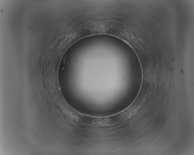 X0000071841201200606301304