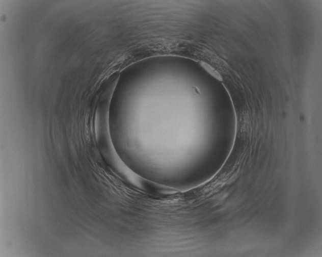 X0000071841202200606301304